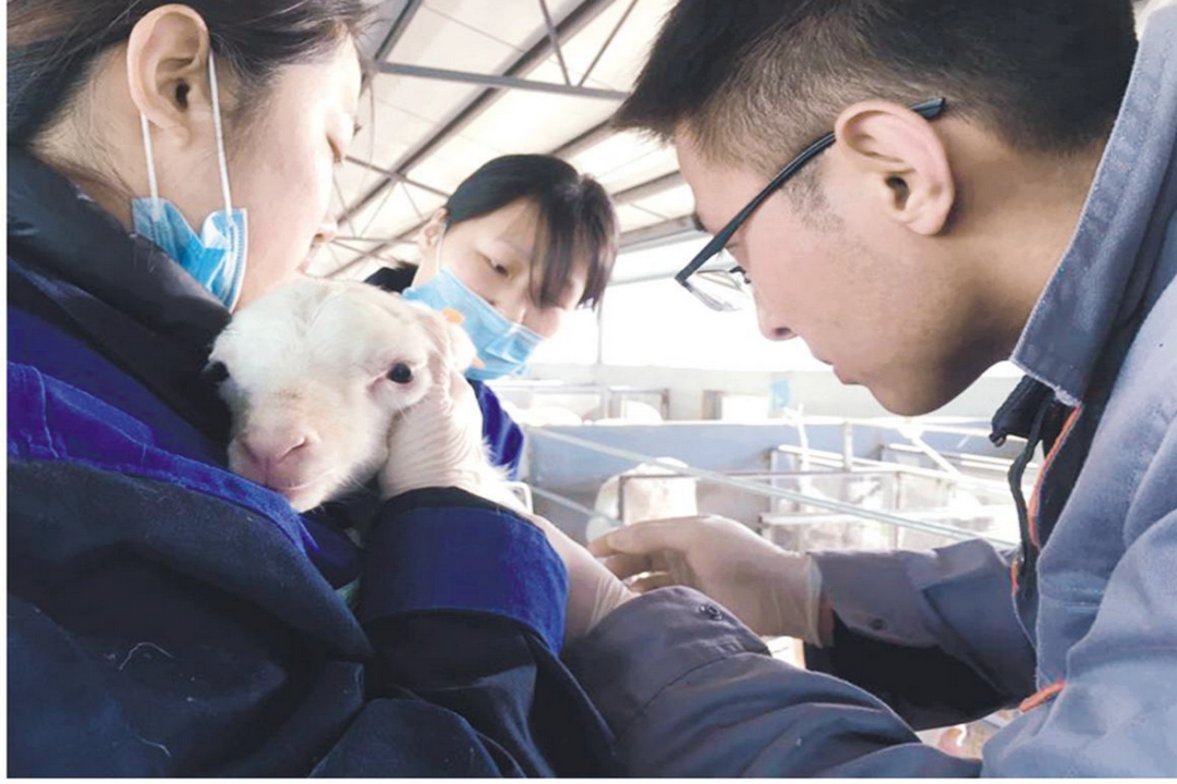 當(dāng)好產(chǎn)業(yè)扶貧主力軍，打贏脫貧攻堅(jiān)戰(zhàn)